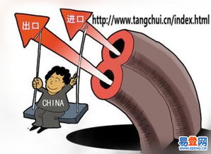 專業(yè)進(jìn)出口代理一站式服務(wù)，助力企業(yè)實(shí)現(xiàn)貿(mào)易增長